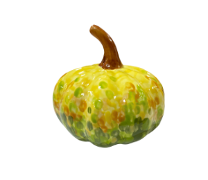 Newcity Fall Textured Gourd